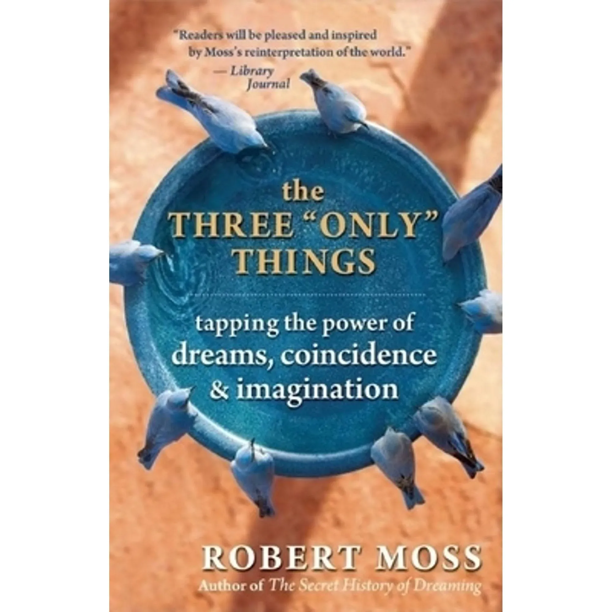   The Three "Only" Things: Tapping the Power of Dreams, Coincidence & Imagination  