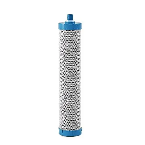 Frizzlife DSF01 Replacement Filter Cartridge