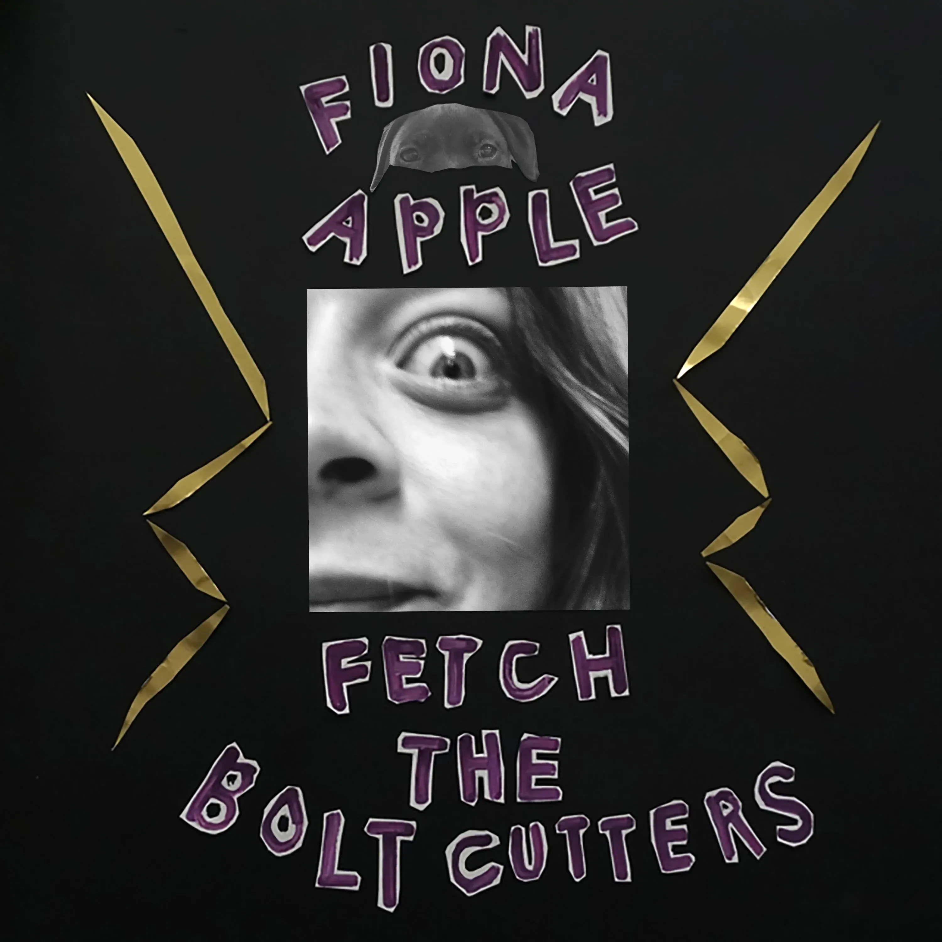 APPLE,FIONA Fetch The Bolt Cutters CD