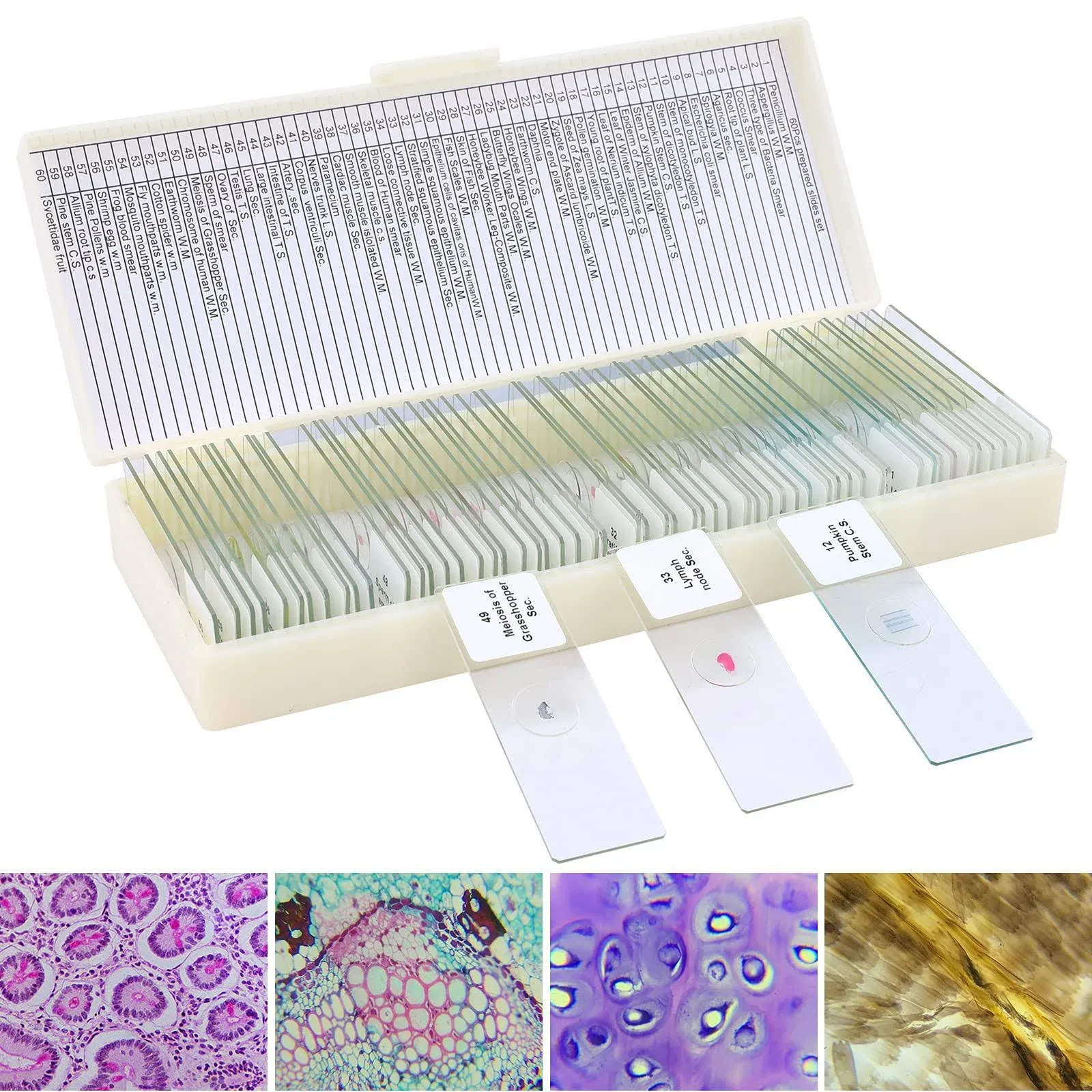 MABOTO 48pcs/set Prepared Microscope Slides Animals Insects Plants Sample Specimens Slides Set with Color Labels for Kids Students