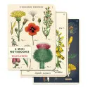 Cavallini Wildflowers Mini Notebooks - Pkg of 3