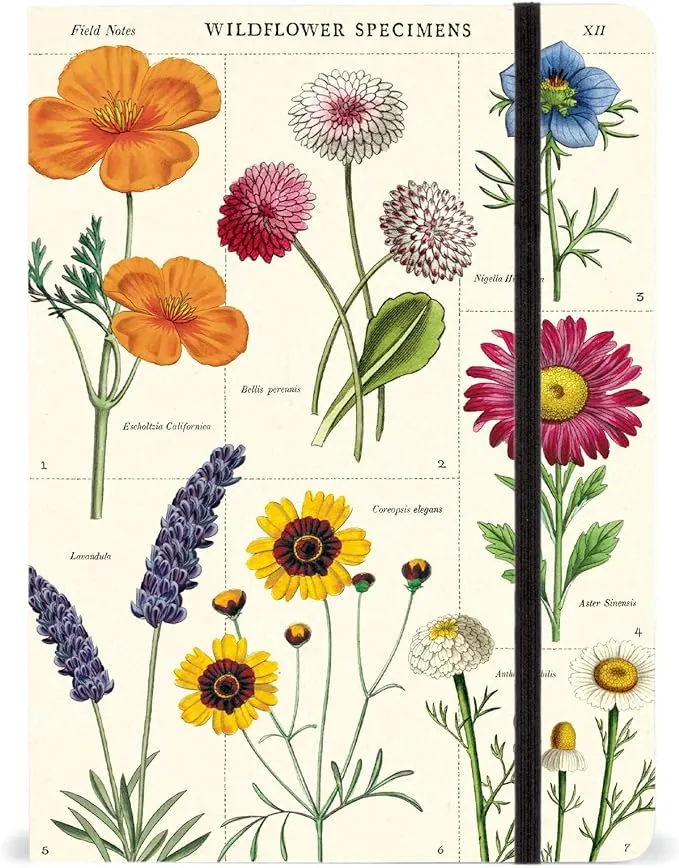 Cavallini & Co. Large Notebook - Wildflower