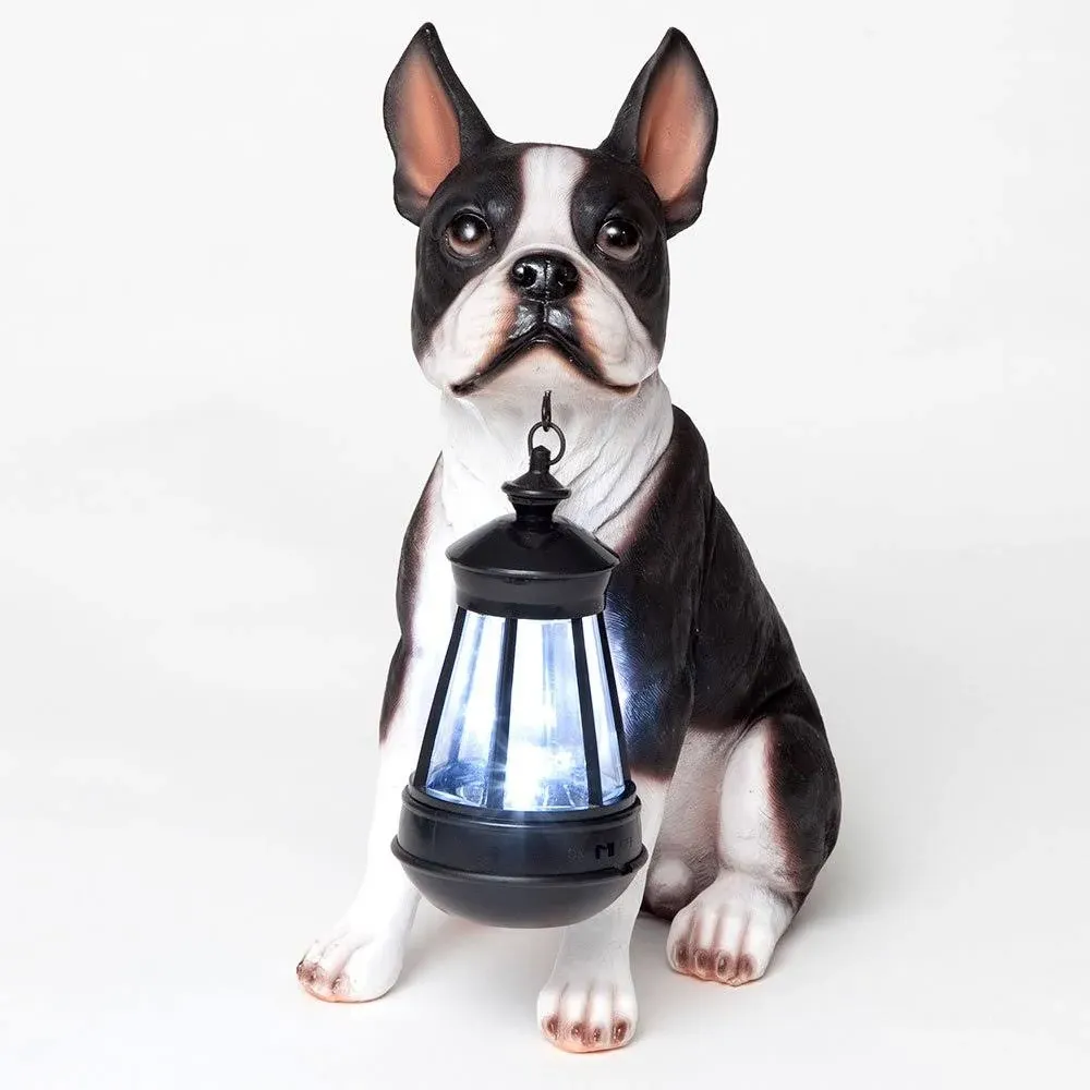 - Boston Terrier Solar Lantern Statue - Yard Decorations - Solar