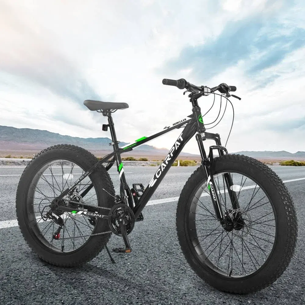 26 in. 21 Speed Steel Mountain Bike with Fat Tire