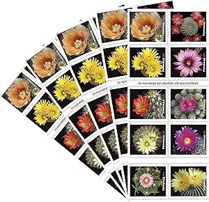 Cactus Flowers 5 Books of 20 Forever First Class USPS Postage Stamps Celebration Wedding (100 Stamps)