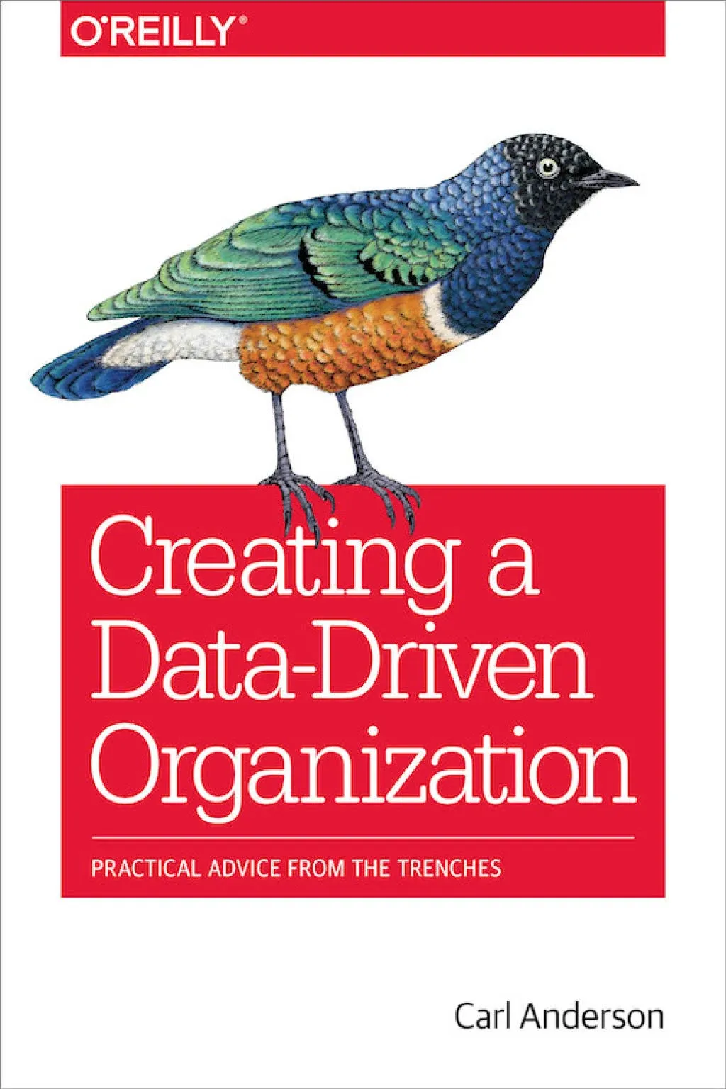 Carl Anderson Creating a Data–Driven Organization (Paperback)