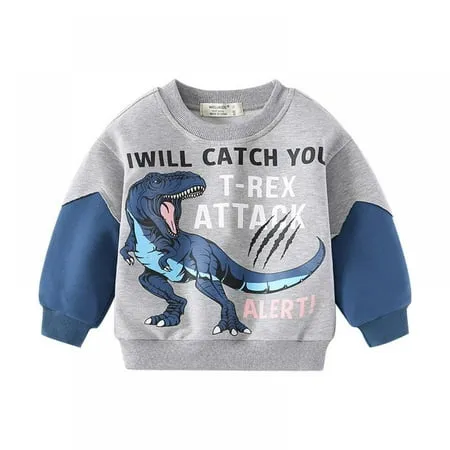 Kids Boys Dolphin Long Sleeve T-Shirt 100% Cotton Toddler Shark Tops Tee 3T