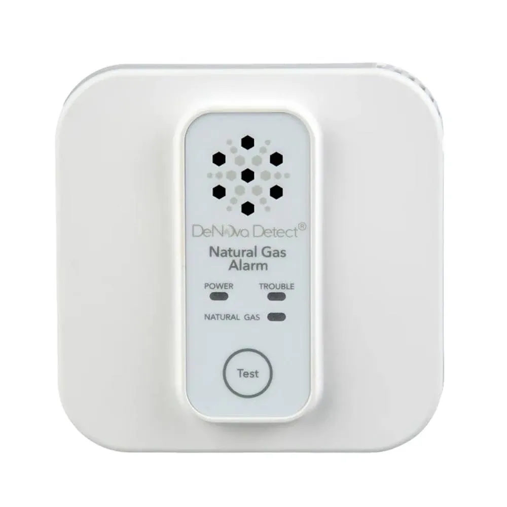 Denova Detect Natural GAS Alarm 10-Year Battery-Operated Carbon Monoxide Detector ...