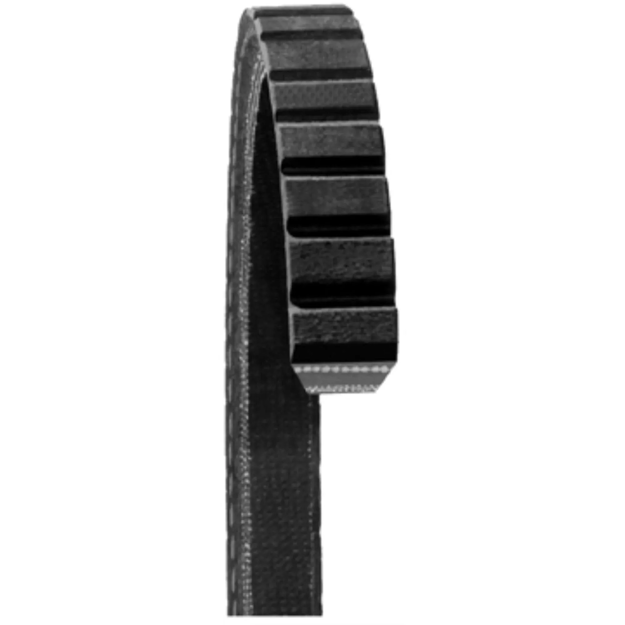 Dayco Accessory Drive Belt 15565