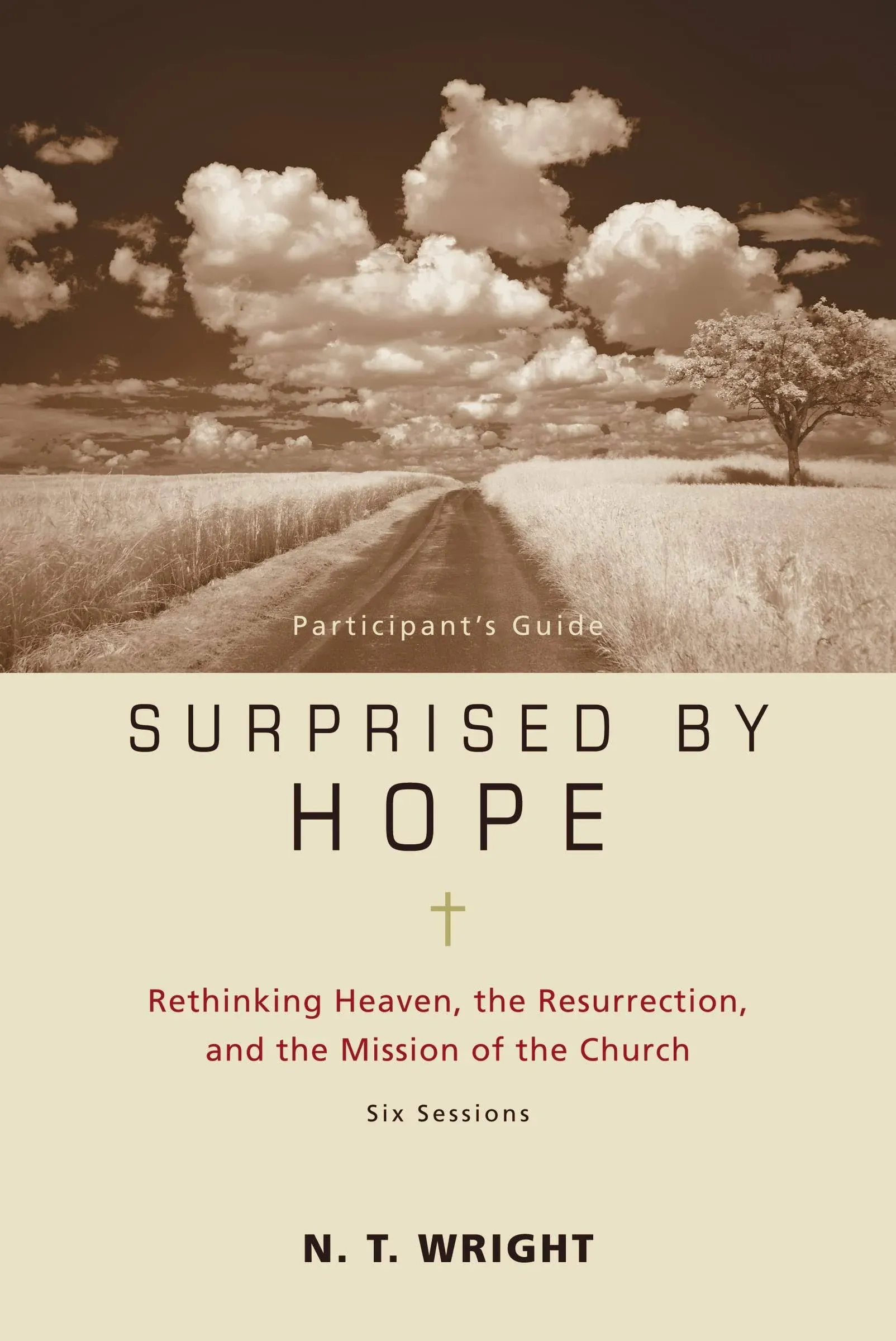 Surprised by Hope Participant's Guide: Rethinking Heaven, the Resurrection, and the Mission of the Church(No Dvd)