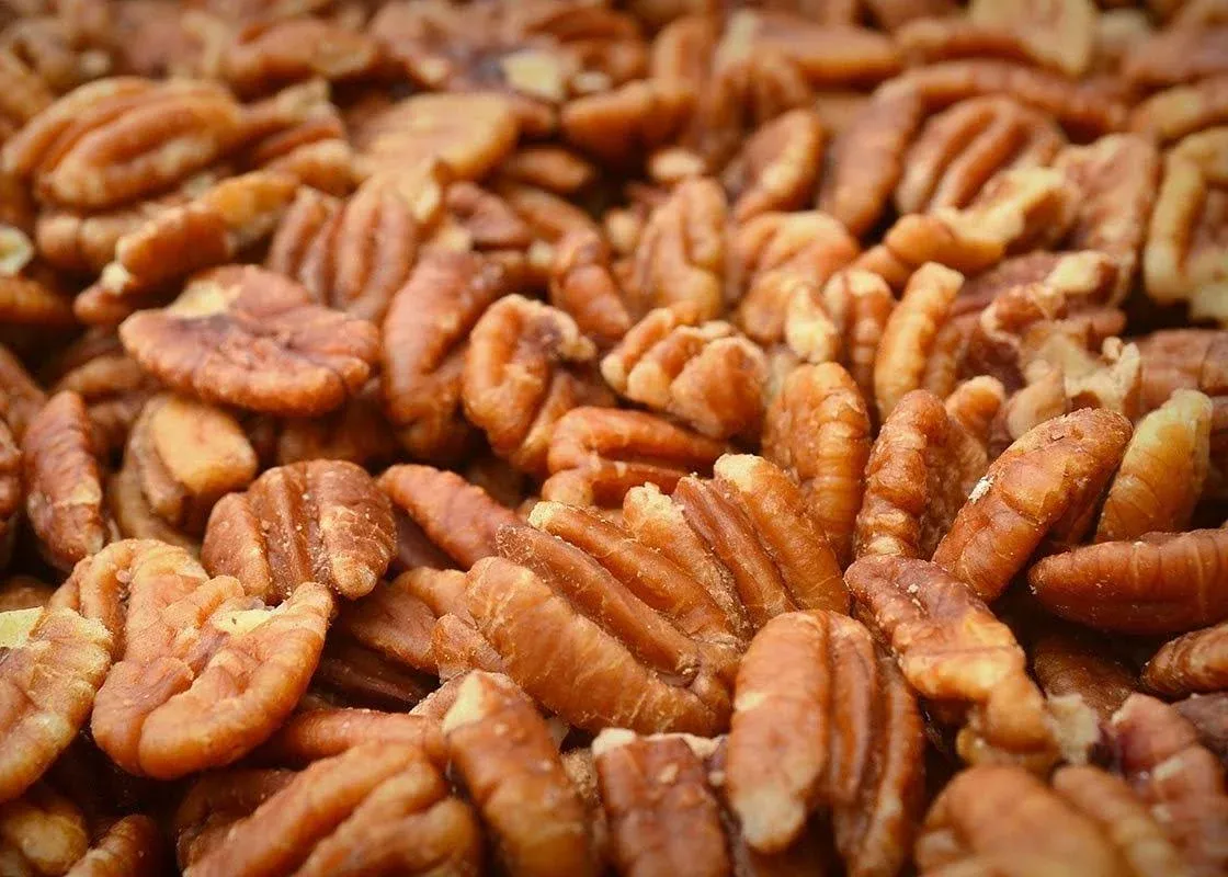 Pecan Shop Unsalted Sprouted Raw Texas Native Pecans Unsprayed Wild-Harvested ...