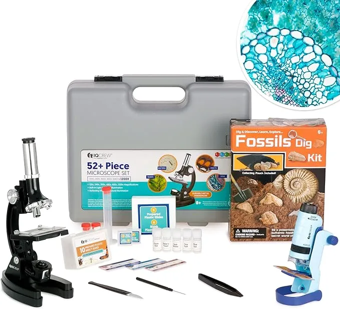 Amscope-kids - Black Metal Arm Starter Kids Student Microscope Kit with Fossil ...