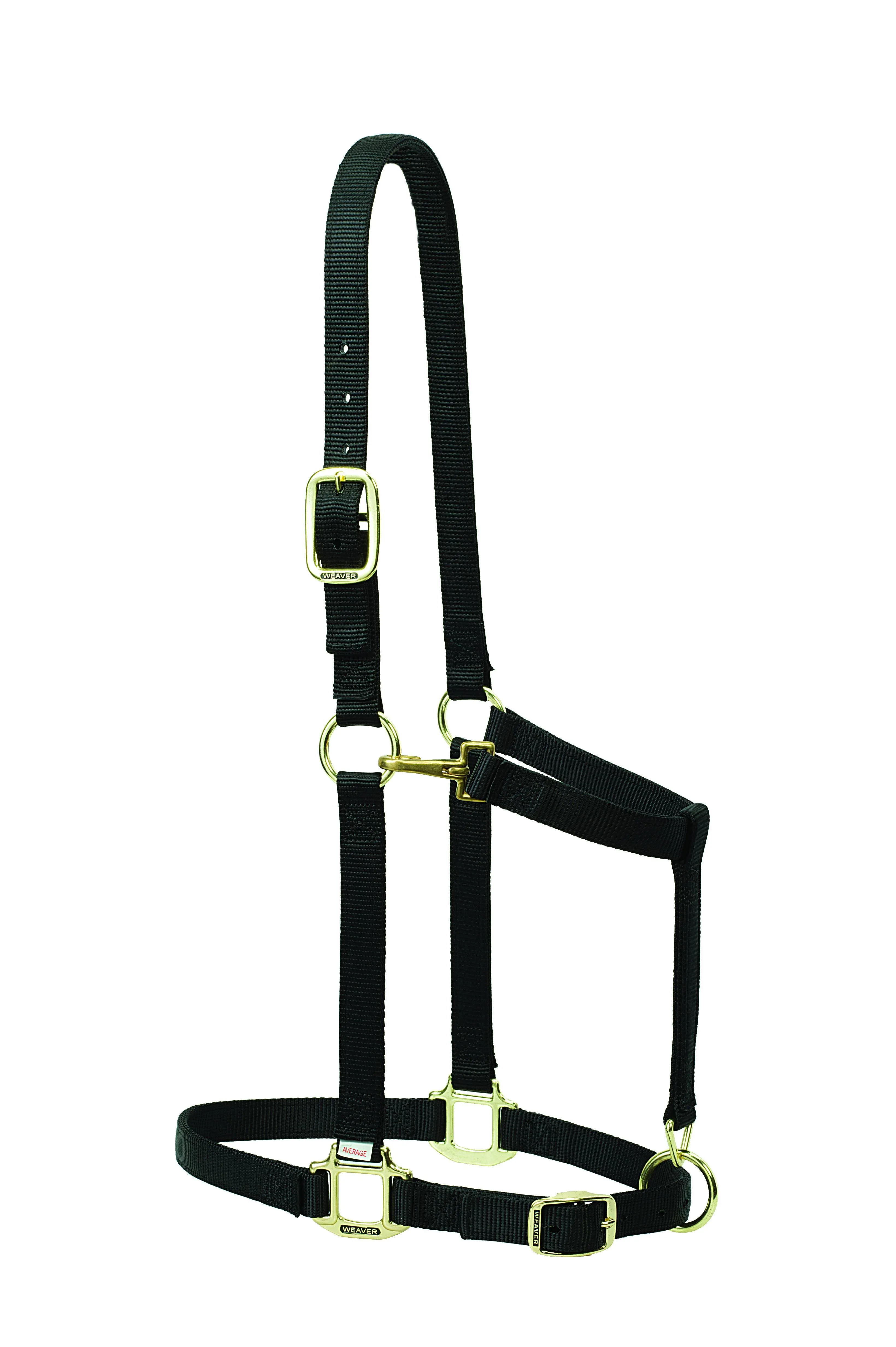 Weaver Leather Nylon Adjustable Draft Horse Halter 1 in.