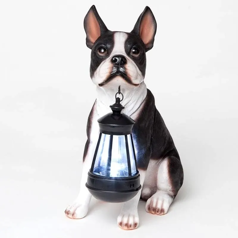 Realistic Boston Terrier Dog Garden Sculpture Holding Solar LED Lighted Lantern