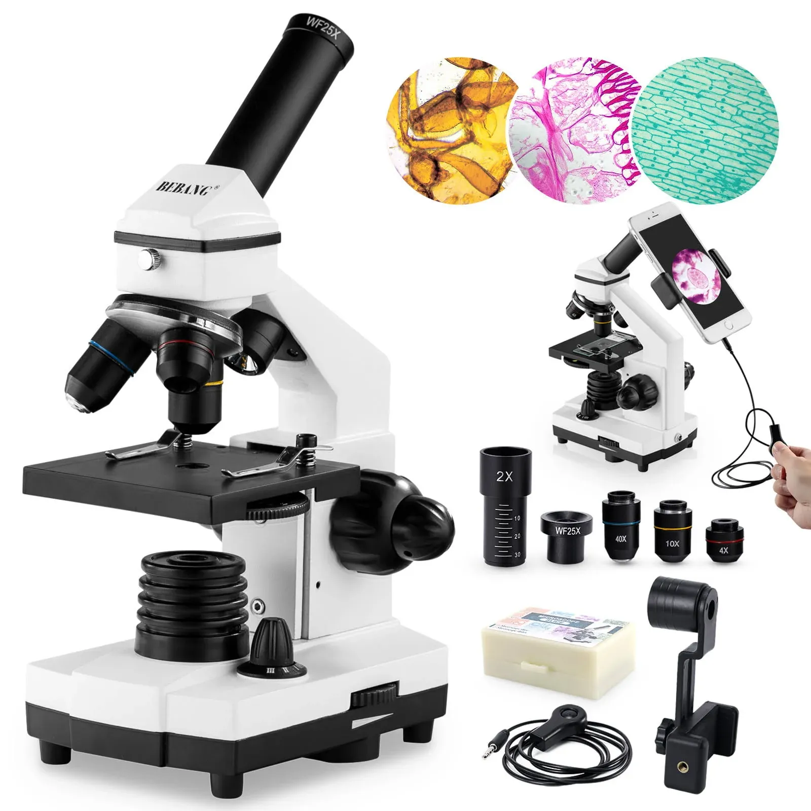 Bebang 100X-2000X Microscopes for Adults Kids Students, Microscope with Slides Set, Phone Adapter, Powerful Biological Microscopes for School