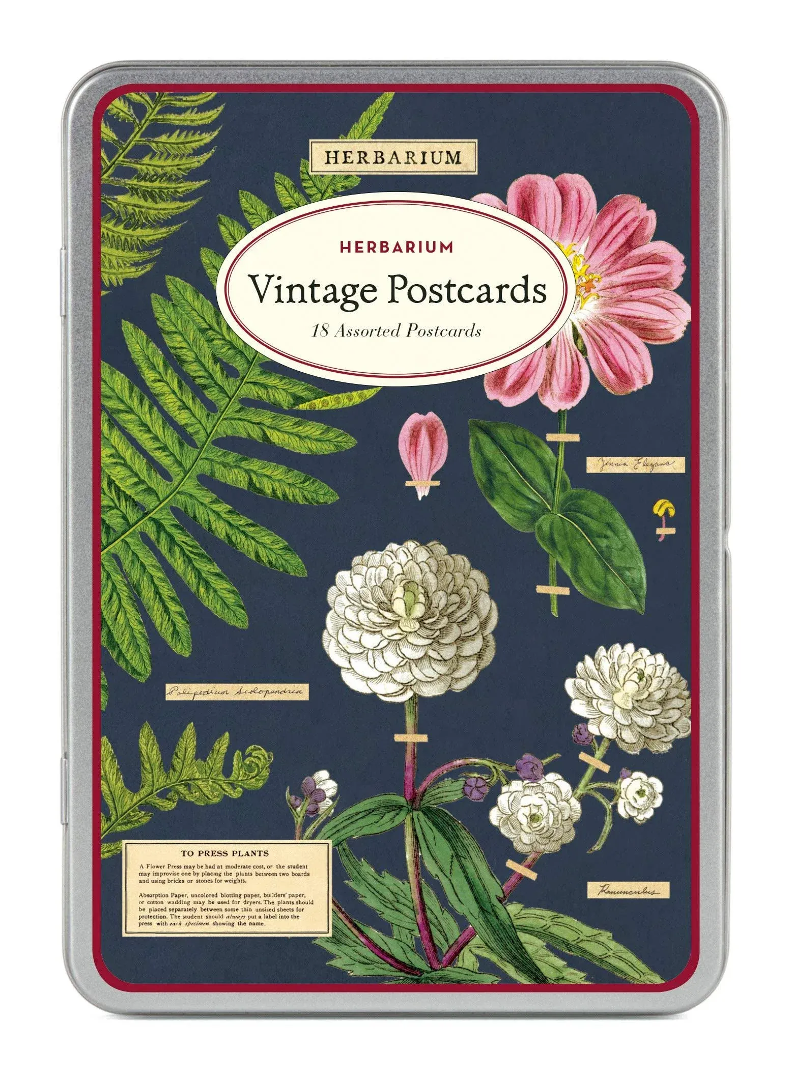 Set of 18 Cavallini &amp; Co. Herbarium Vintage Postcards in Keepsake Tin - NWT