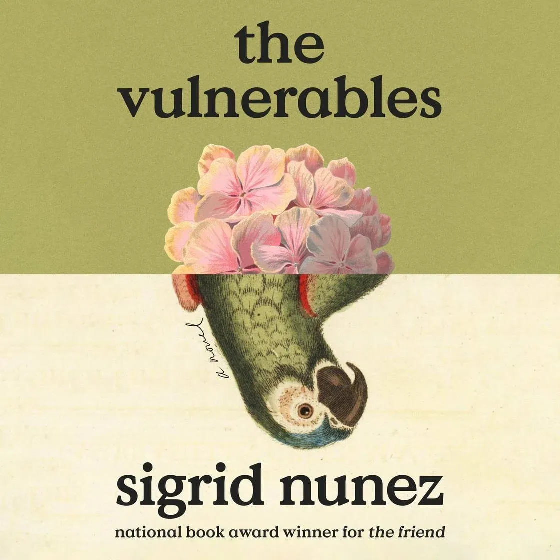 The Vulnerables: A Novel 