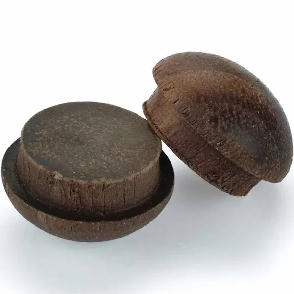 Walnut Button Top Screw Hole Plugs 1/2&#034; 12 pack