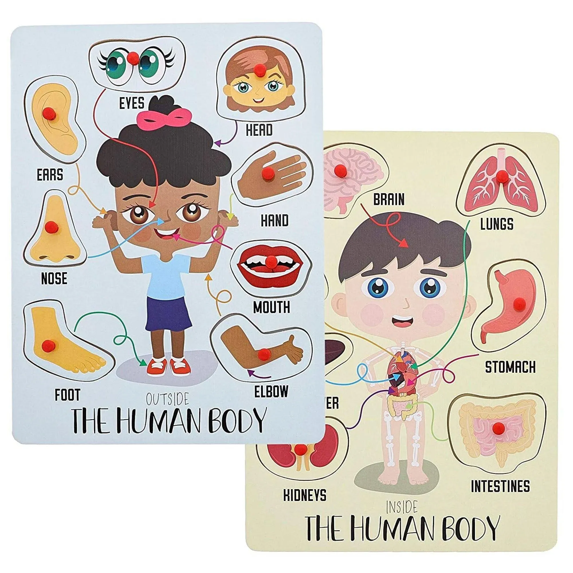 Educational Wood Peg Anatomy Puzzle Game for Kids, Human Body Parts (2 Pack)