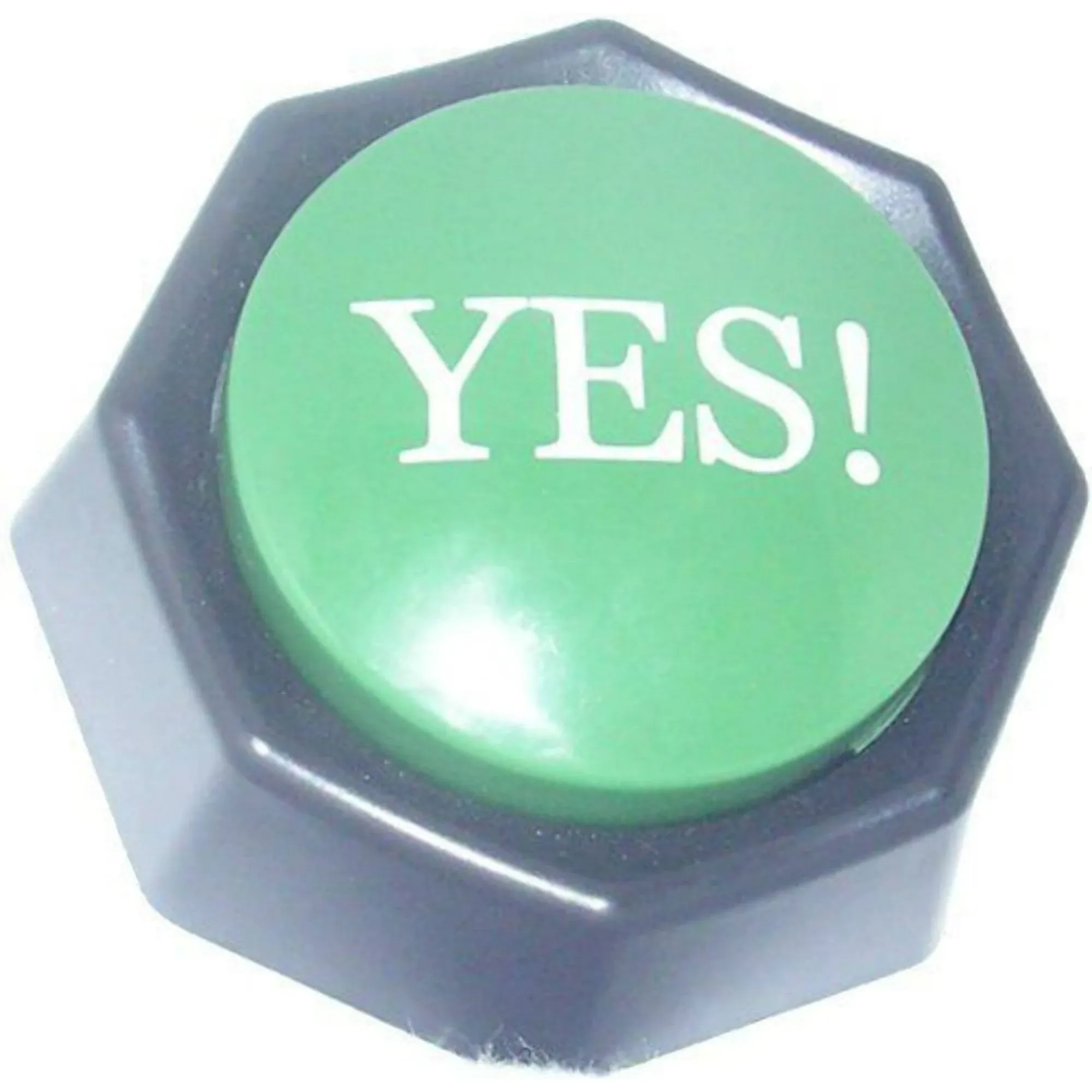 Zany Toys LLC The "Yes!" Button