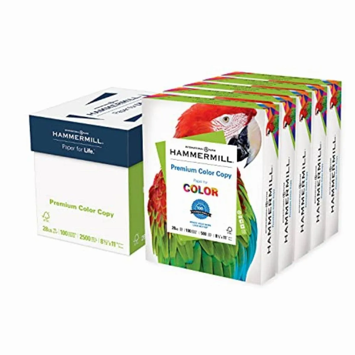 Printer Paper, Premium Color 28 lb Copy Paper, 8.5 x 11 - 5 Ream (2,500 Sheet...