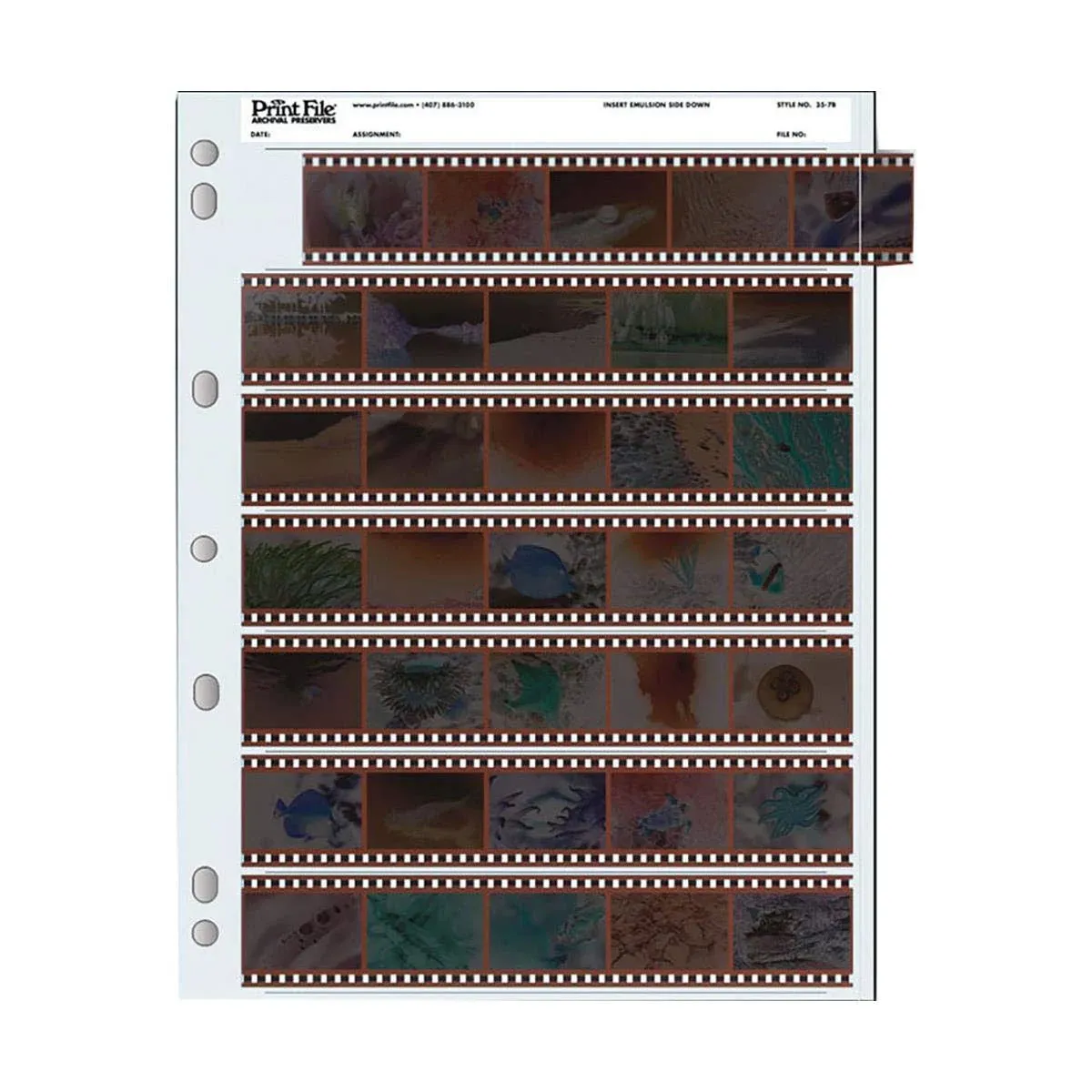 Print File Archival 35mm Size Negative Pages Holds Seven Strips of Five Frames -