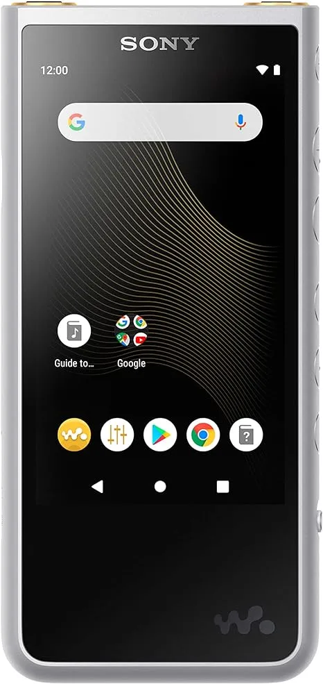 SONY Walkman NW-ZX507 64GB Android MP3 Wi-Fi NFC (Black, Silver)