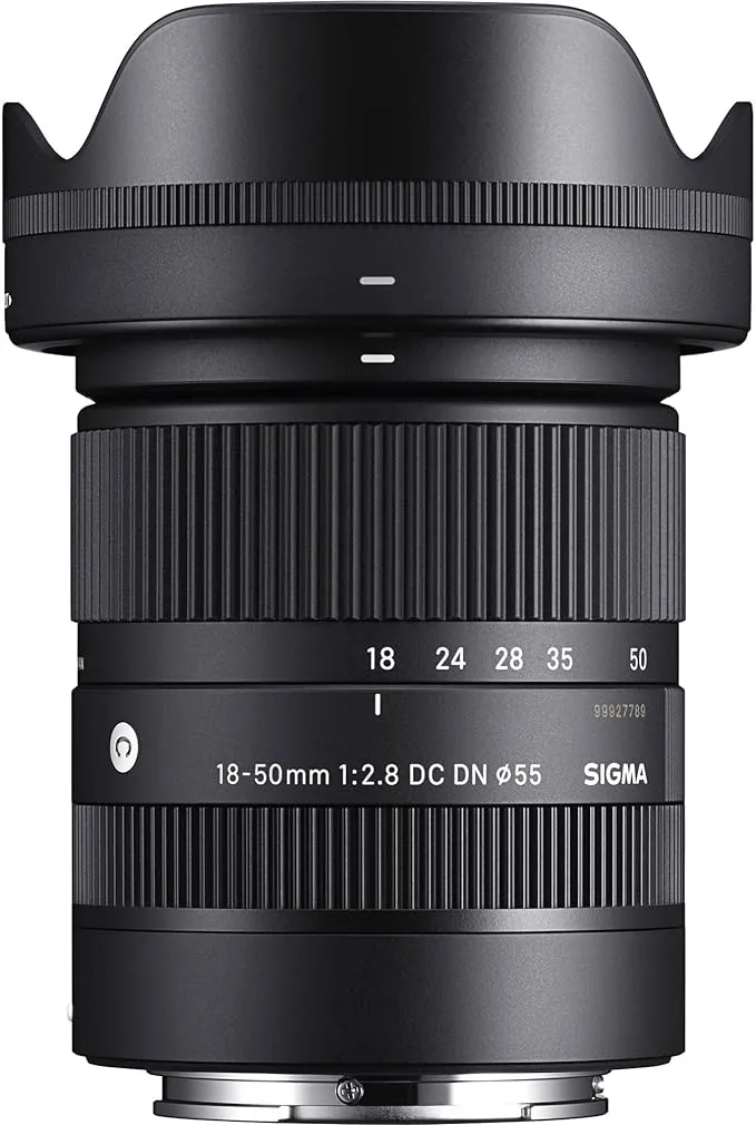 18-50mm F2.8 DC DN Contemporary for Sony E (Renewed)