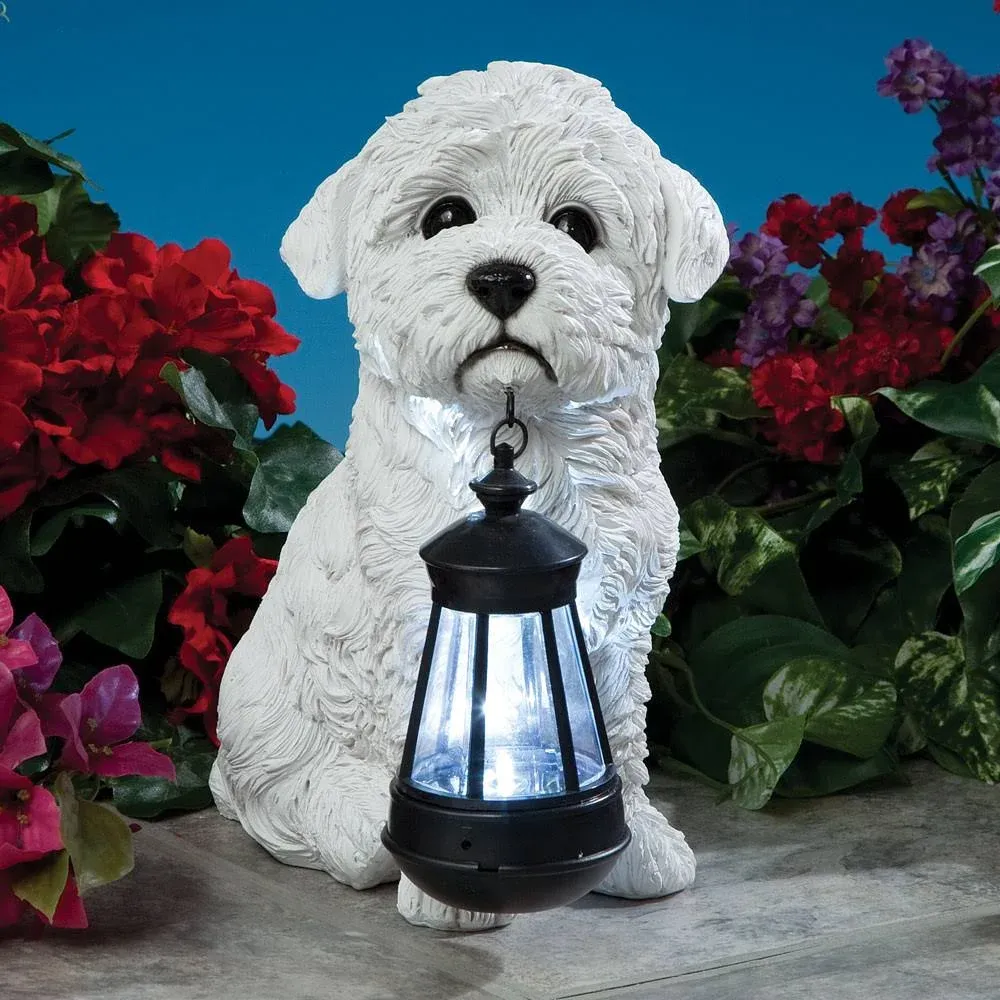 Bits and Pieces - Bichon Solar Lantern Statue - Solar Powered Garden Lantern - Resin White Dog Sculpture with LED Light - Outdoor Lighting and Décor Maltese, Bolognese, Coton de Tulear, Havanese