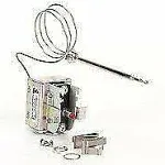 Wells WS-58656 Safety Thermostat