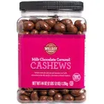 Wellsley Farms Milk Chocolate Covered Cashews