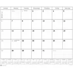 Dacasso Desk Pad Monthly Calendar Insert Pack, 24.5 x 16