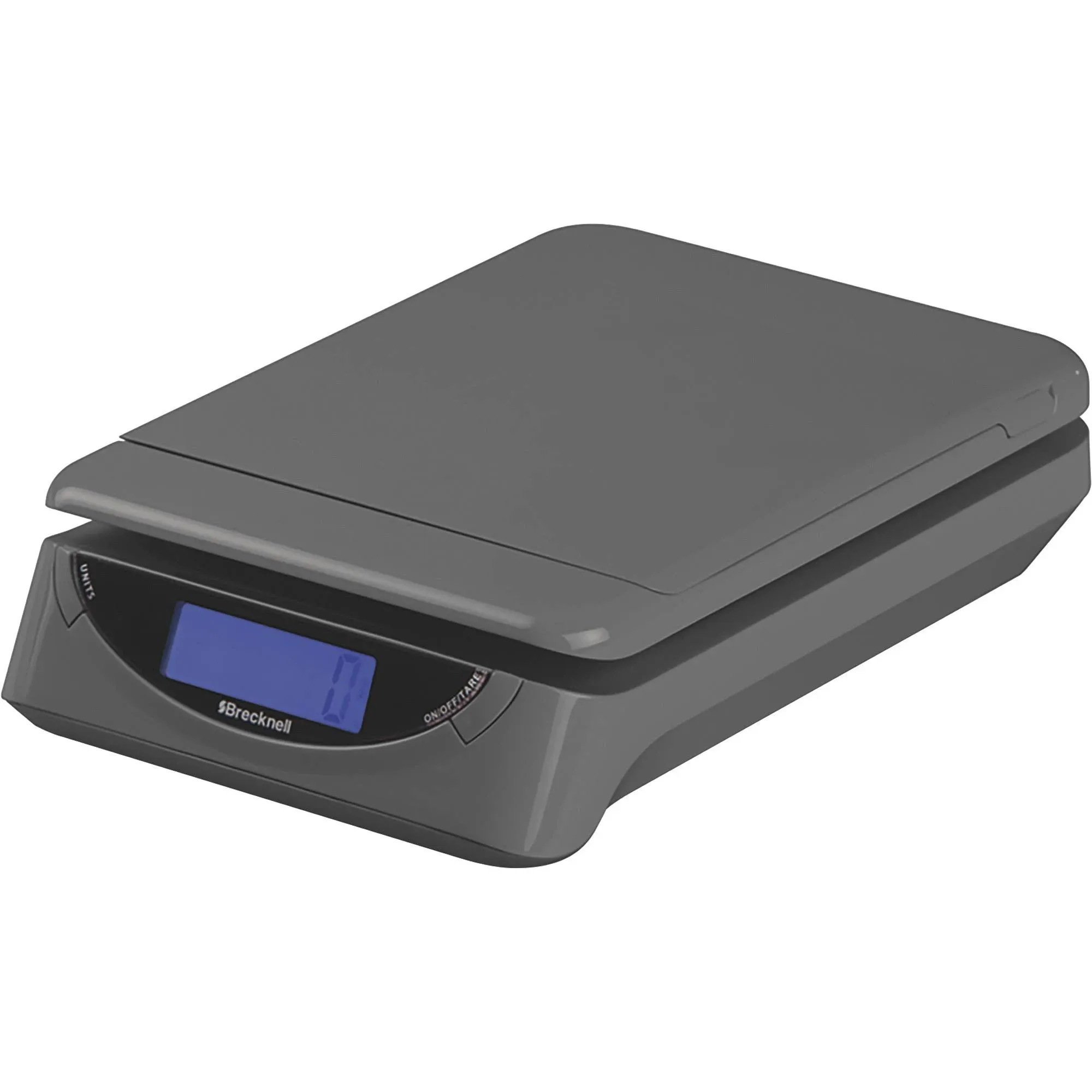 SBWPS25GRAY - Brecknell Saltner PS25 Electronic Scale