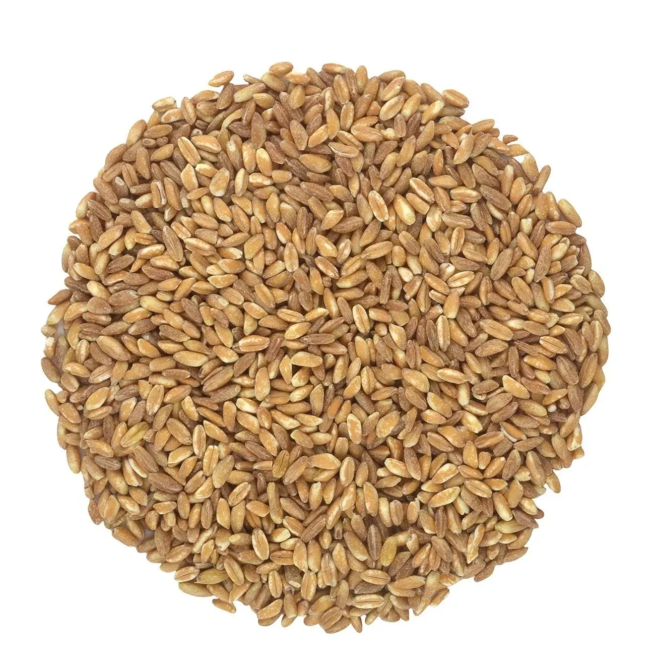 Organic Italian Farro Grain, Ancient Wheat Organic Pearled Farro / 5 lb