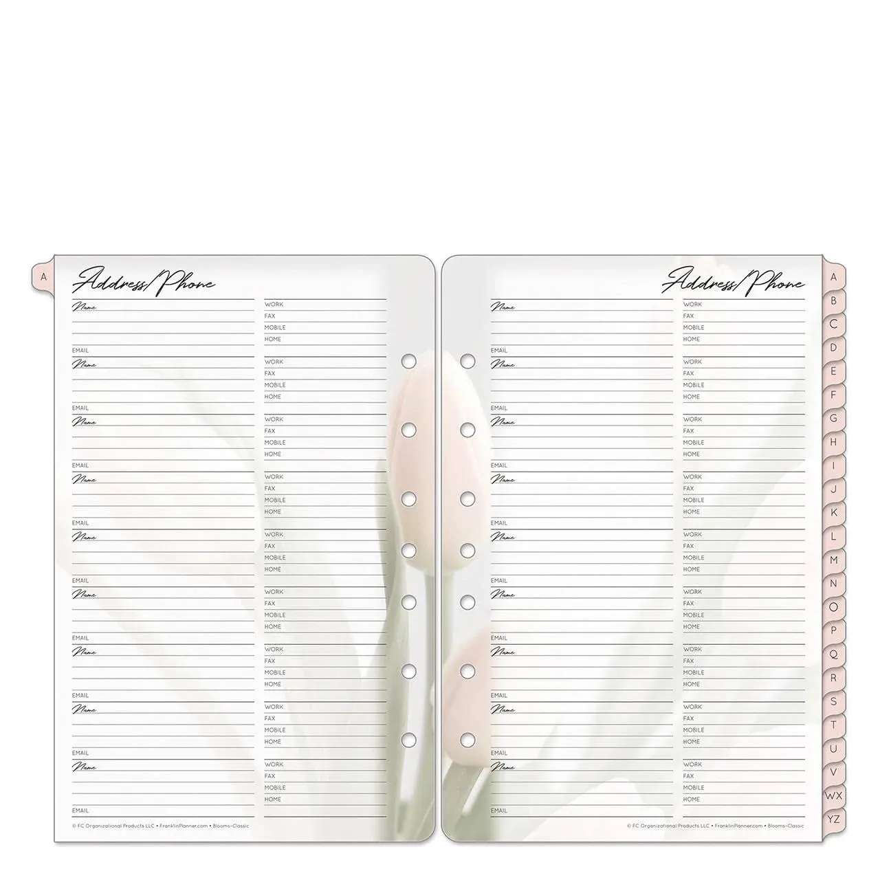 FranklinCovey - Blooms Address/Phone Tabs - Expansion for Planners (Classic, Pink/Green)