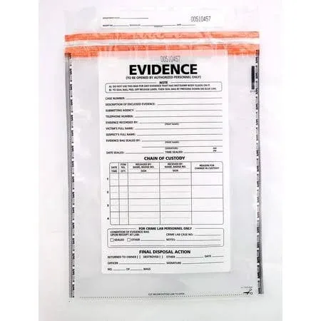 Plastic Evidence Bags  Large - 100 Pack