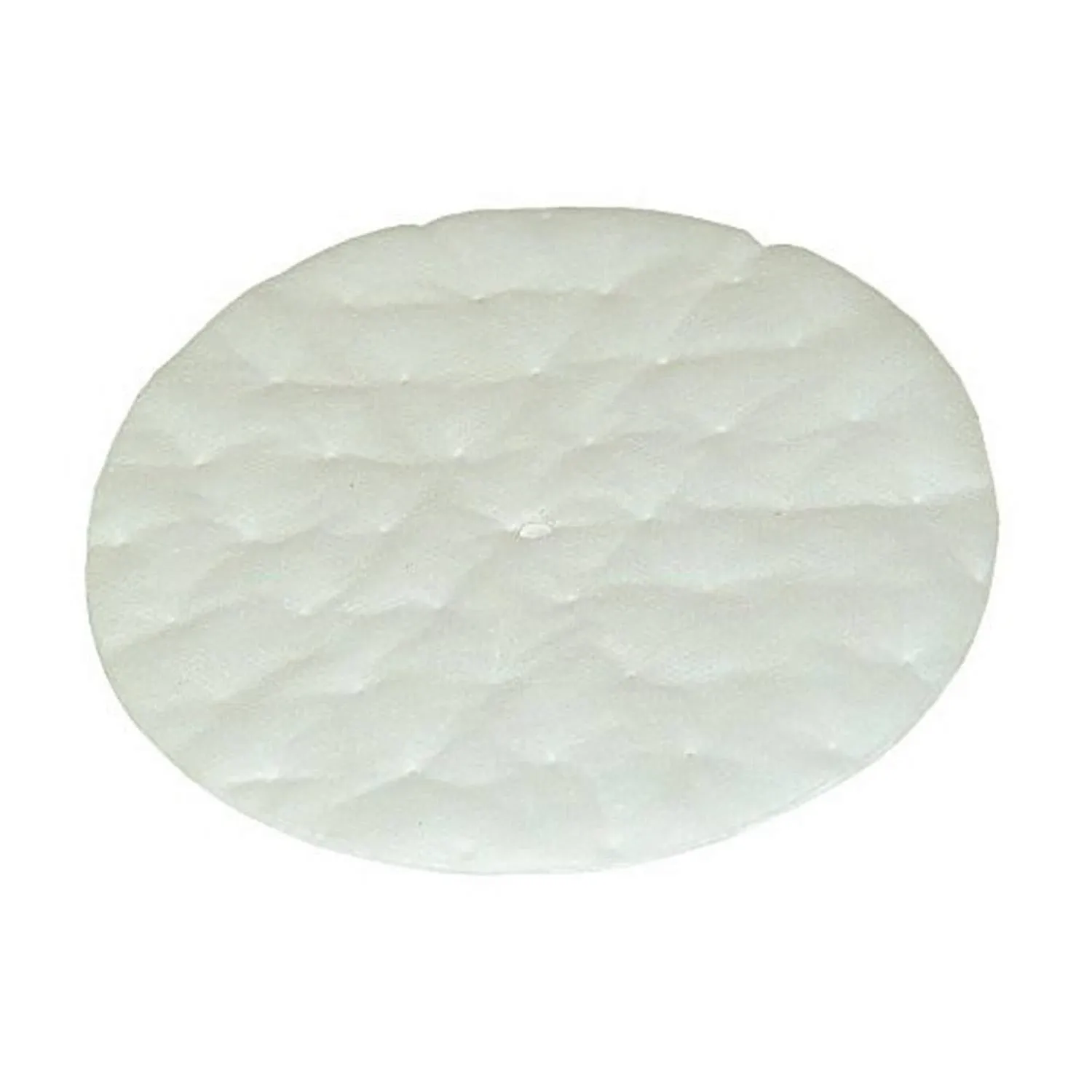 ProTeam&#174; High Filtration Discs for Dome Filter