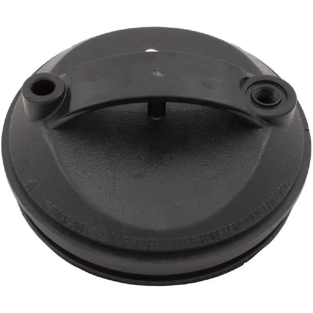 Waterway Lid Filter 511-1000