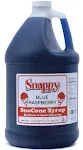 Snappy Blue Raspberry Sno Cone Syrup, 1 Gallon128 Ounce