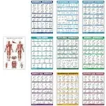 QuickFit 10 Pack - Exercise Workout Poster Set - Dumbbell, Suspension, Kettlebell, Resistance Bands, Stretching, Bodyweight, Barbell, Yoga Poses, Exer