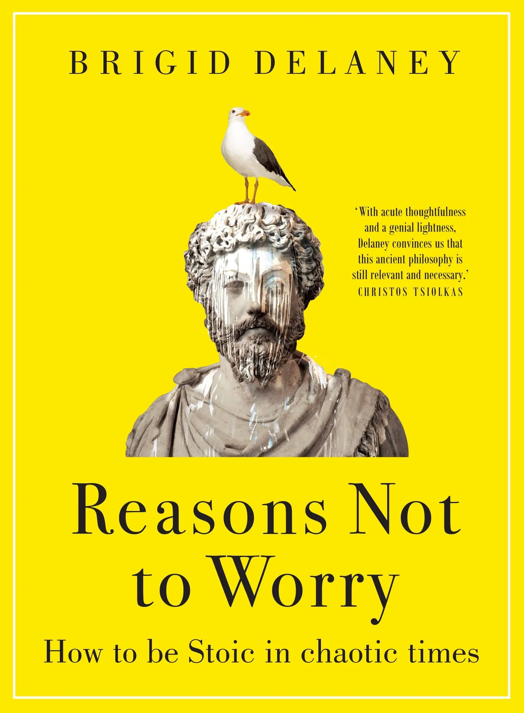 Reasons Not to Worry - Brigid Delaney