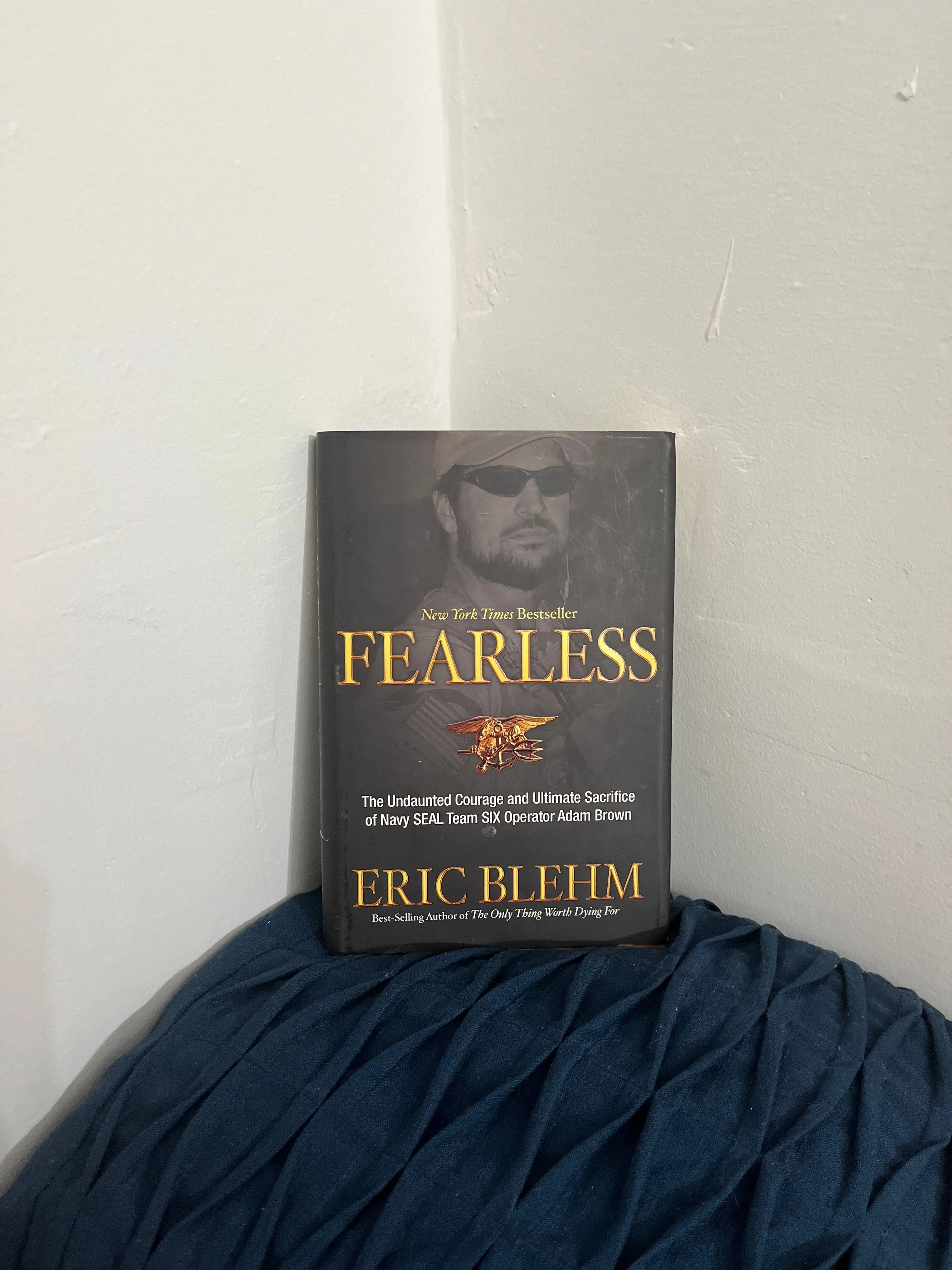 Fearless: The Undaunted Courage and Ultimate Sacrifice of Navy SEAL Team Six Operator Adam Brown [Book]