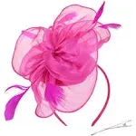 DRESHOW Fascinators Hat Tea Party Headwear Ribbons Feathers on A Headband and A ...